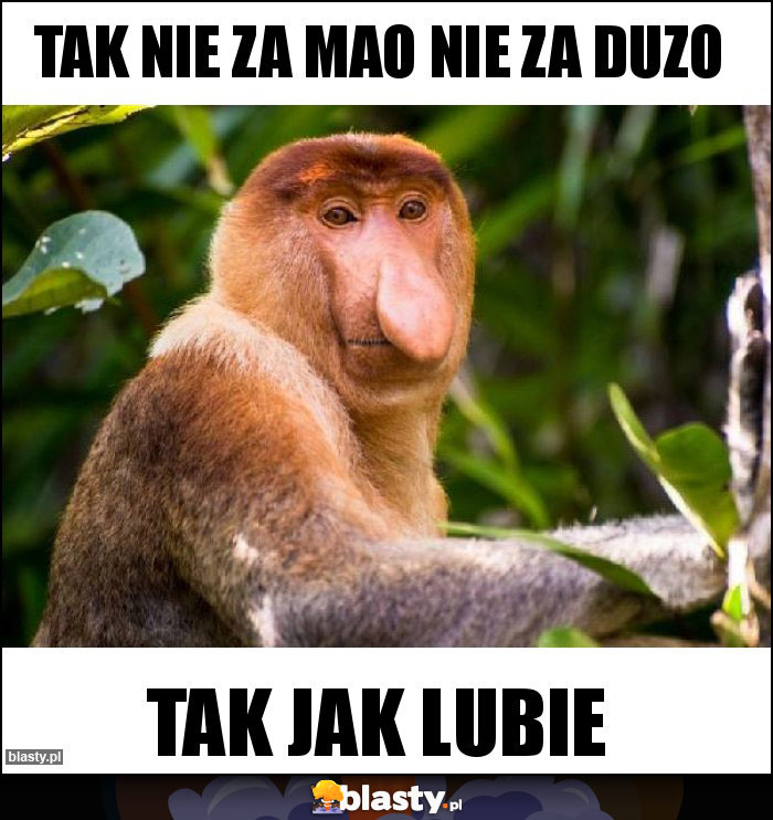 Tak nie za mao nie za duzo Tak nie za mao nie za duzo