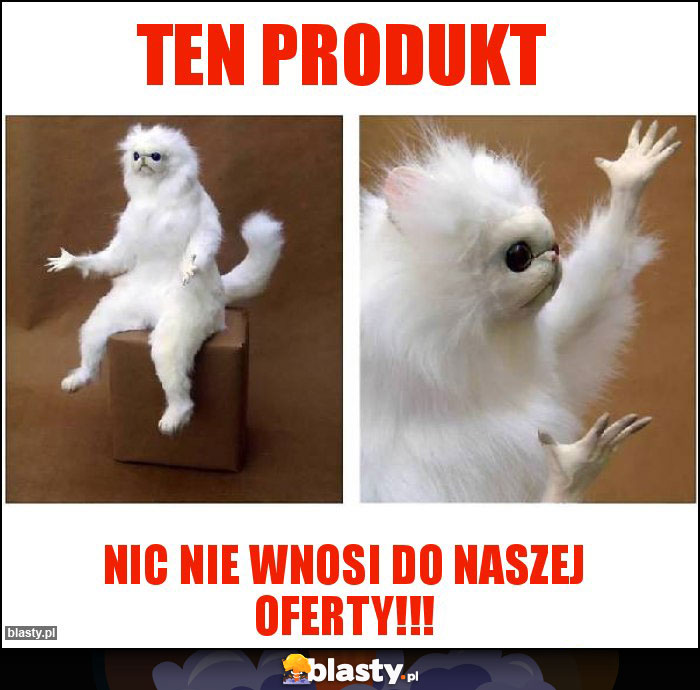 TEN PRODUKT TEN PRODUKT