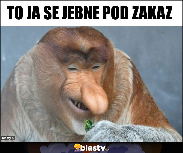 To ja se jebne pod zakaz To ja se jebne pod zakaz