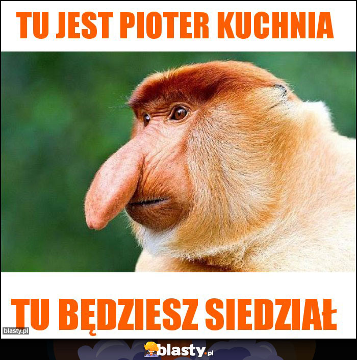 Tu jest Pioter kuchnia Tu jest Pioter kuchnia