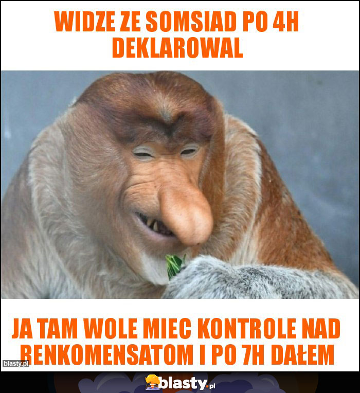 Widze ze somsiad po 4h deklarowal Widze ze somsiad po 4h deklarowal