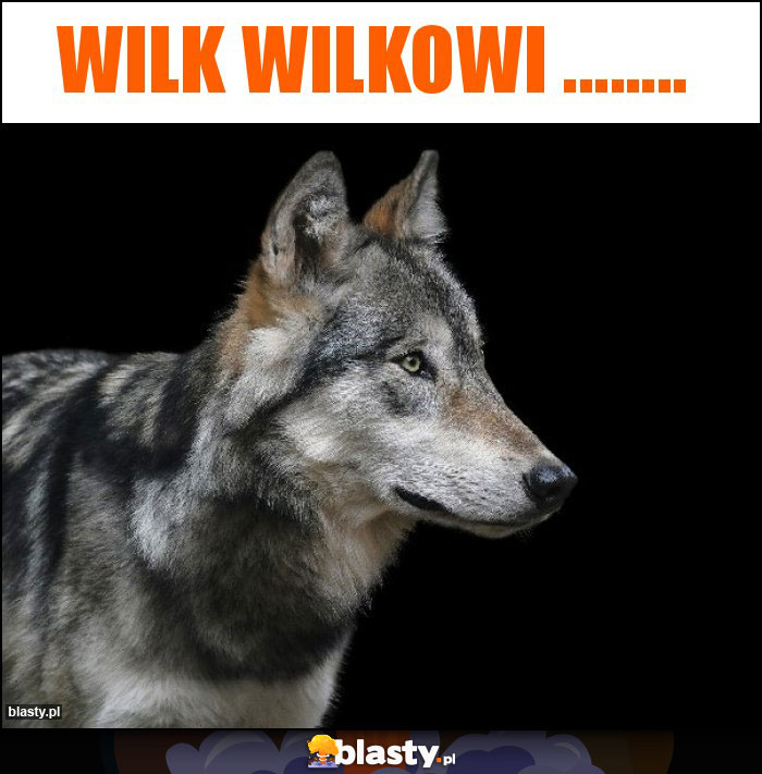 Wilk Wilkowi ........ Wilk Wilkowi ........