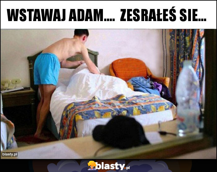 wstawaj Adam.... zesrałeś sie... wstawaj Adam.... zesrałeś sie...
