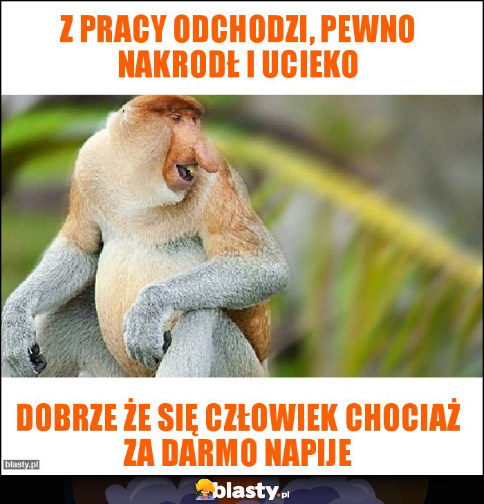 Z pracy odchodzi, pewno nakrodł i ucieko Z pracy odchodzi, pewno nakrodł i ucieko