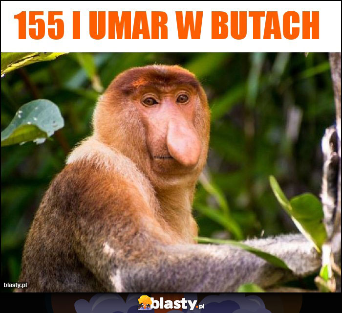 155 i umar w butach 155 i umar w butach