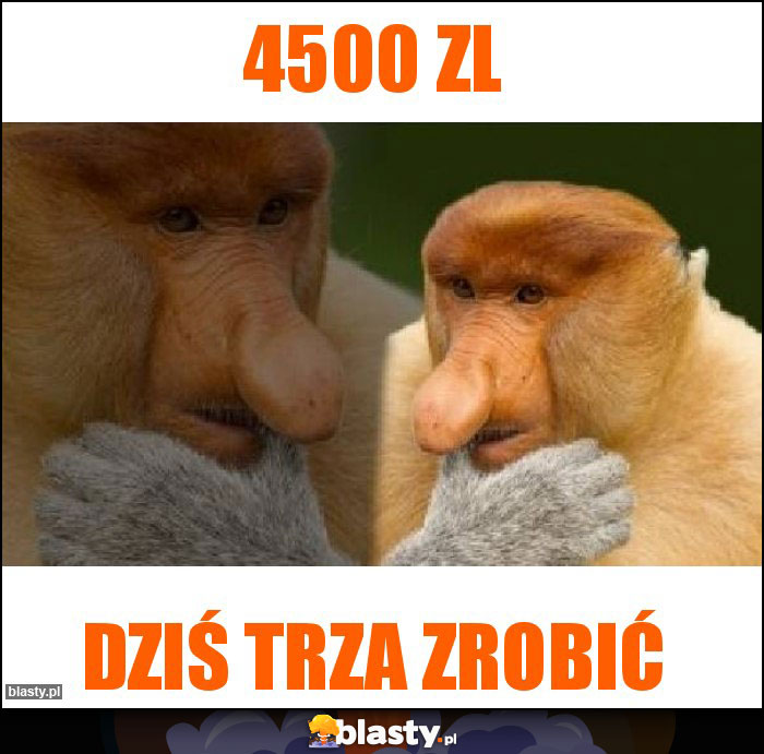 4500 zl