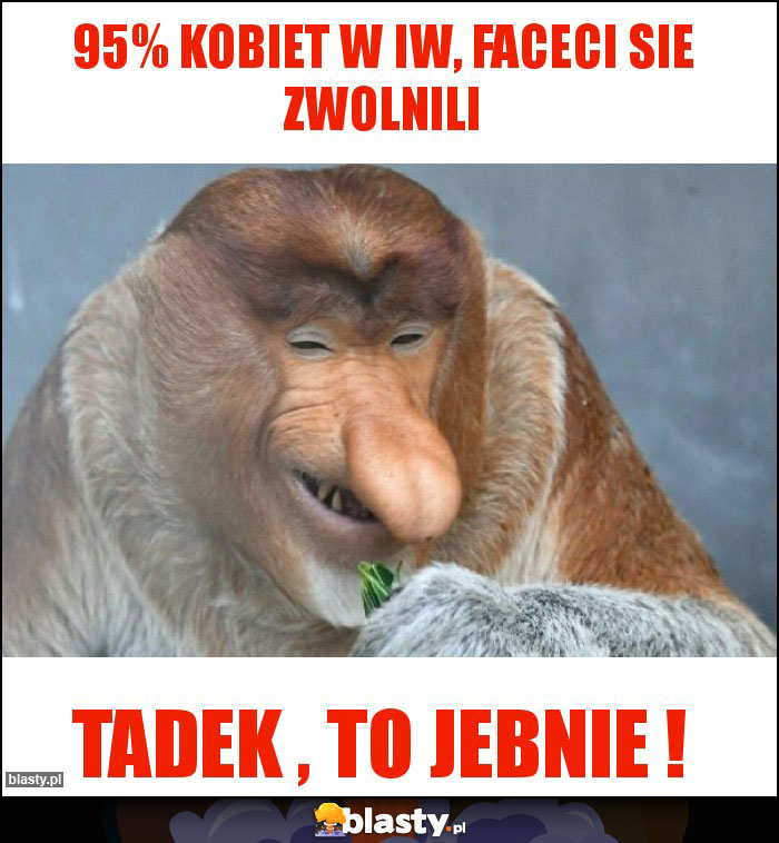 95% Kobiet w IW, Faceci sie zwolnili 95% Kobiet w IW, Faceci sie zwolnili