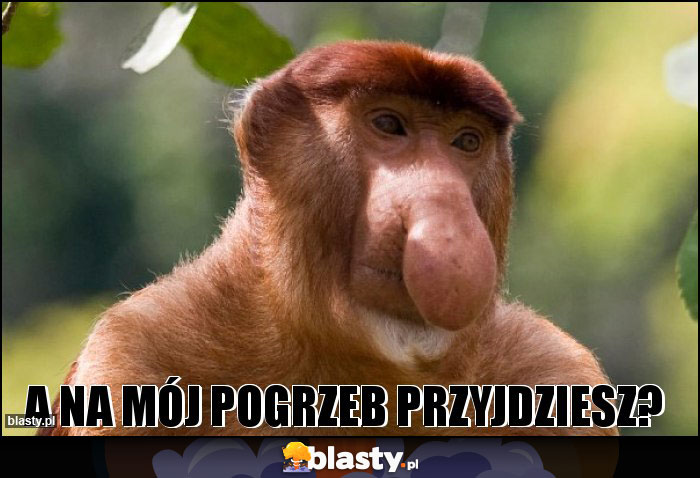 A na mój pogrzeb przyjdziesz?