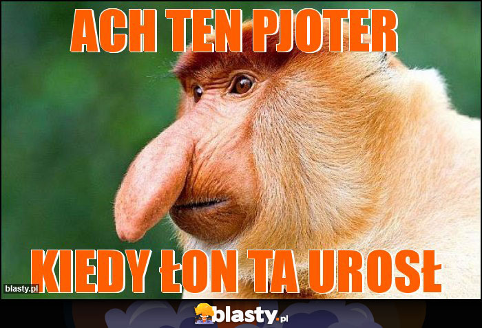 Ach ten Pjoter Ach ten Pjoter