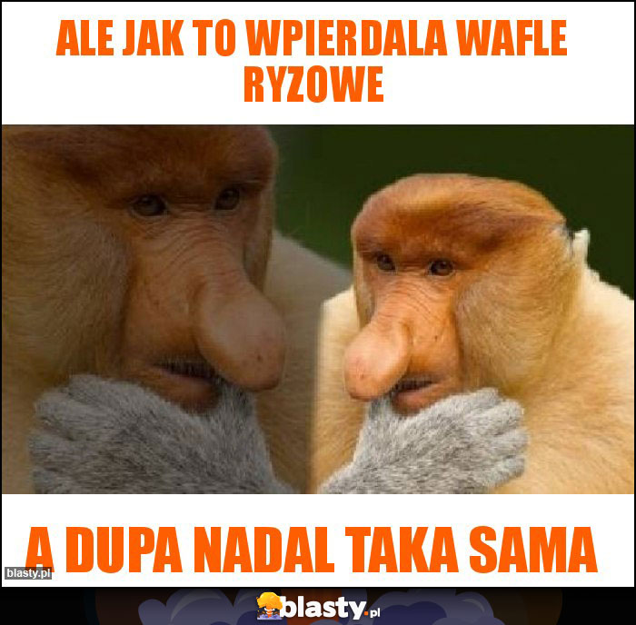ale jak to wpierdala wafle ryzowe ale jak to wpierdala wafle ryzowe