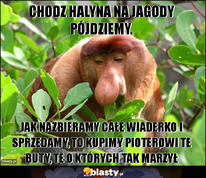 chodz Halyna na jagody pójdziemy. chodz Halyna na jagody pójdziemy.