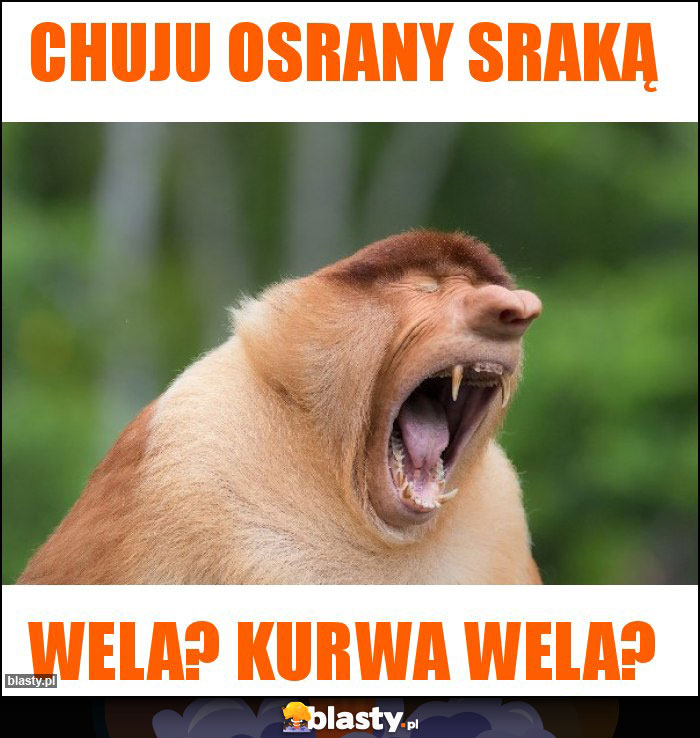 CHUJU OSRANY SRAKĄ CHUJU OSRANY SRAKĄ
