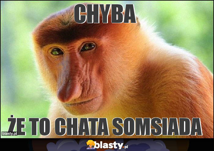 Chyba