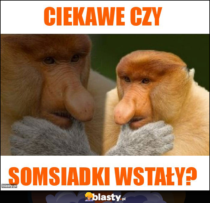 ciekawe czy ciekawe czy