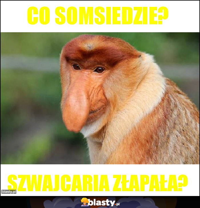 CO somsiedzie? CO somsiedzie?