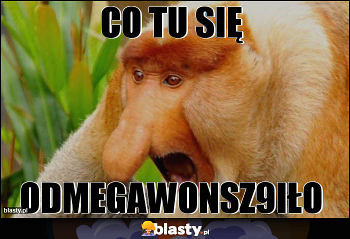 CO TU SIĘ