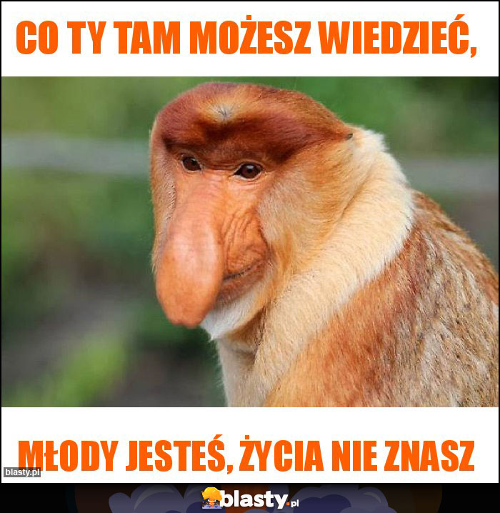 co Ty tam możesz wiedzieć,