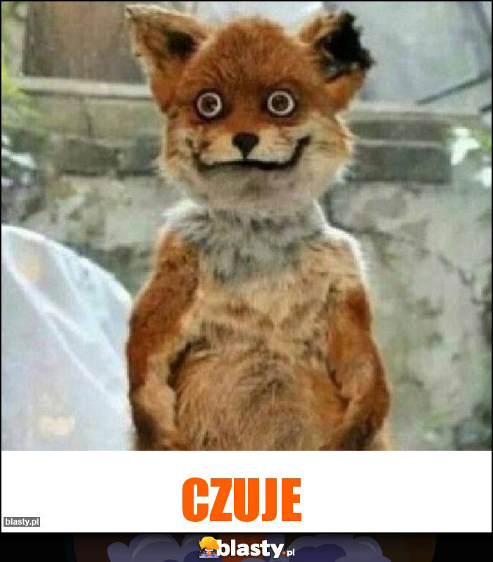 CZUJE