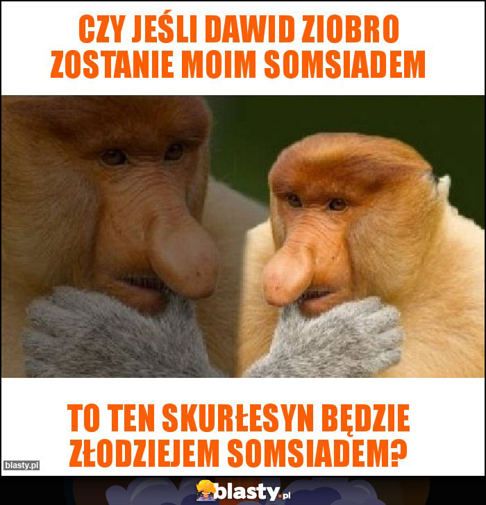 Czy jeśli Dawid Ziobro zostanie moim somsiadem Czy jeśli Dawid Ziobro zostanie moim somsiadem