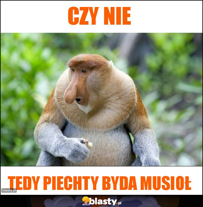 Czy nie