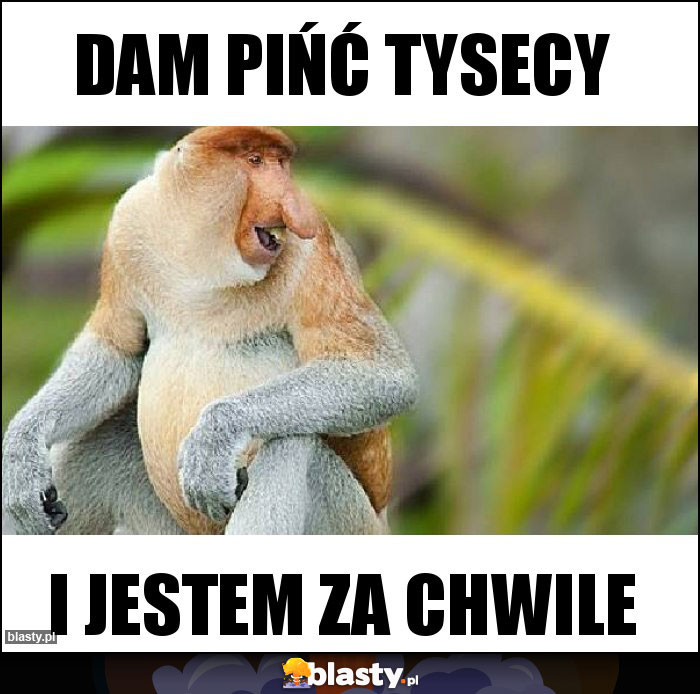 Dam pińć tysecy