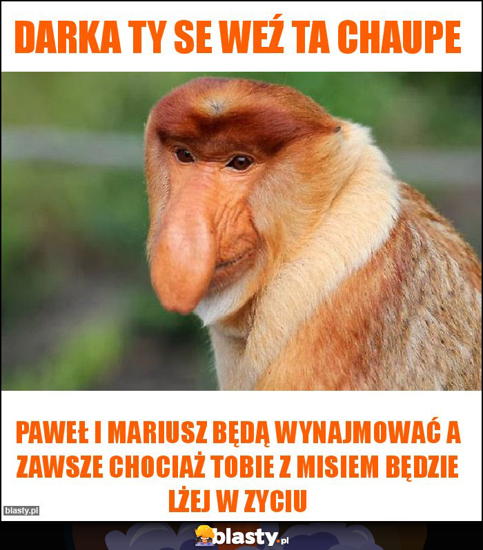 Darka ty se weź ta chaupe Darka ty se weź ta chaupe