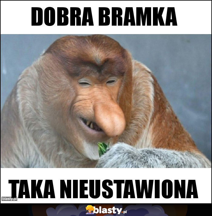 Dobra bramka Dobra bramka