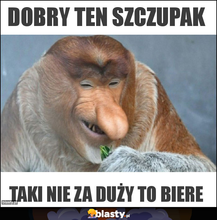 Dobry ten szczupak Dobry ten szczupak