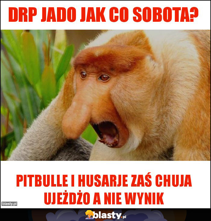 DRP jado jak co sobota? DRP jado jak co sobota?