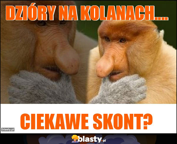 Dzióry na kolanach.... Dzióry na kolanach....