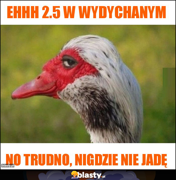 Ehhh 2.5 w wydychanym Ehhh 2.5 w wydychanym