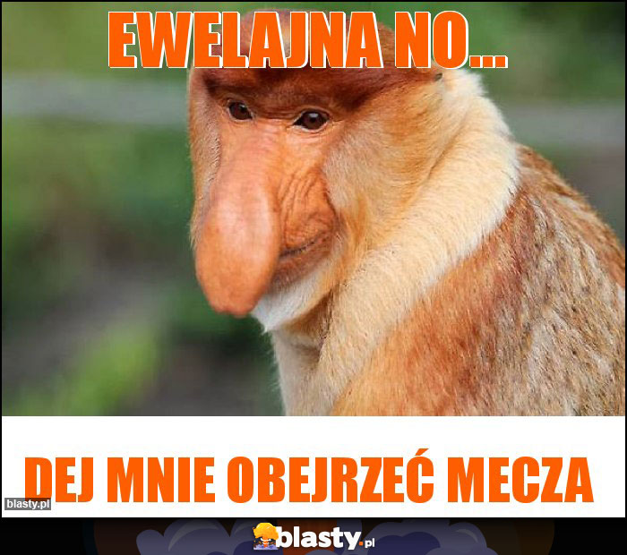 EWELAJNA NO... EWELAJNA NO...