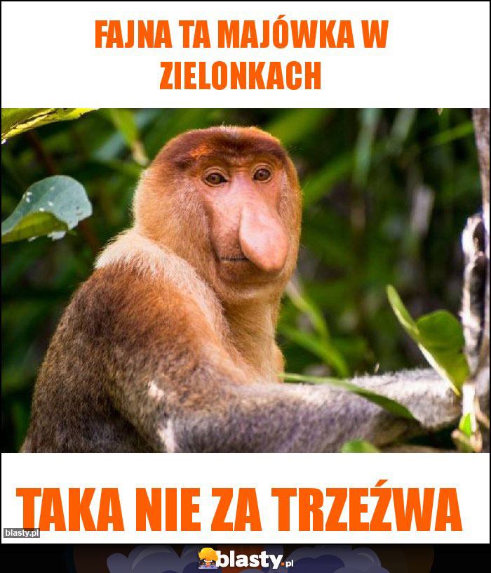 Fajna ta majówka w zielonkach Fajna ta majówka w zielonkach