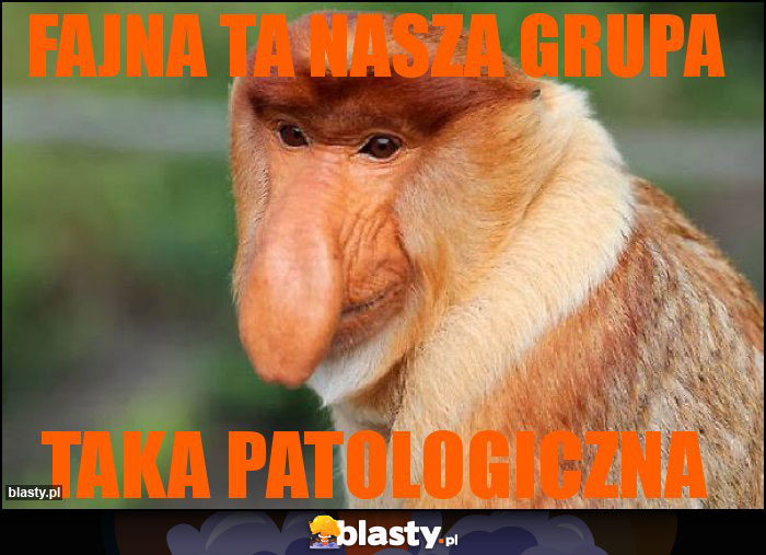 FAJNA TA NASZA GRUPA FAJNA TA NASZA GRUPA
