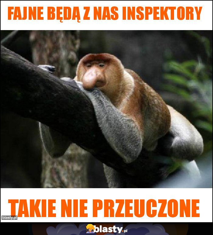 Fajne będą z nas inspektory Fajne będą z nas inspektory