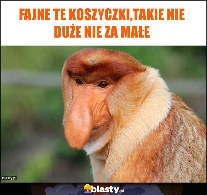 Fajne te koszyczki,takie nie duże nie za małe Fajne te koszyczki,takie nie duże nie za małe