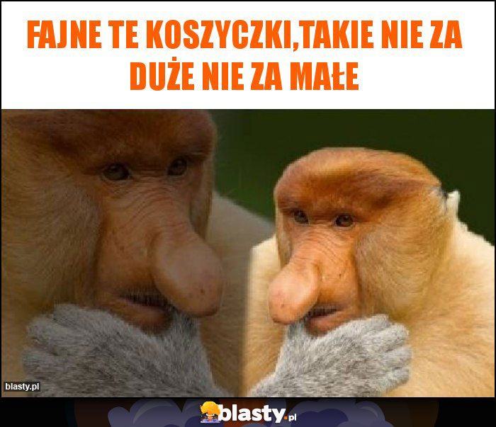 fajne te koszyczki,takie nie za duże nie za małe fajne te koszyczki,takie nie za duże nie za małe