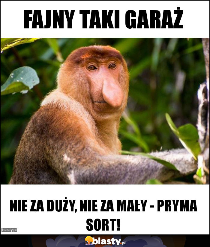 Fajny taki garaż Fajny taki garaż