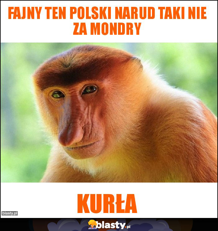 Fajny ten polski narud taki nie za mondry