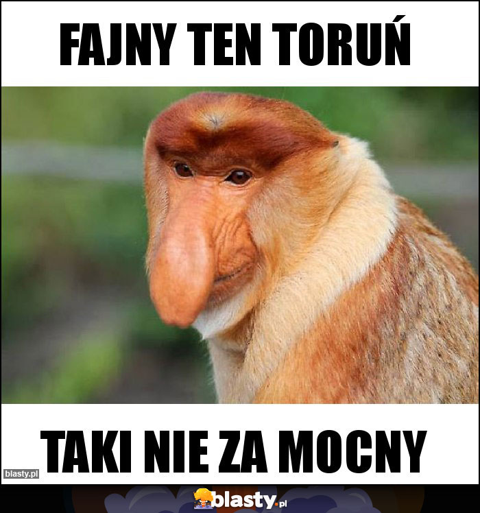fajny ten toruń fajny ten toruń