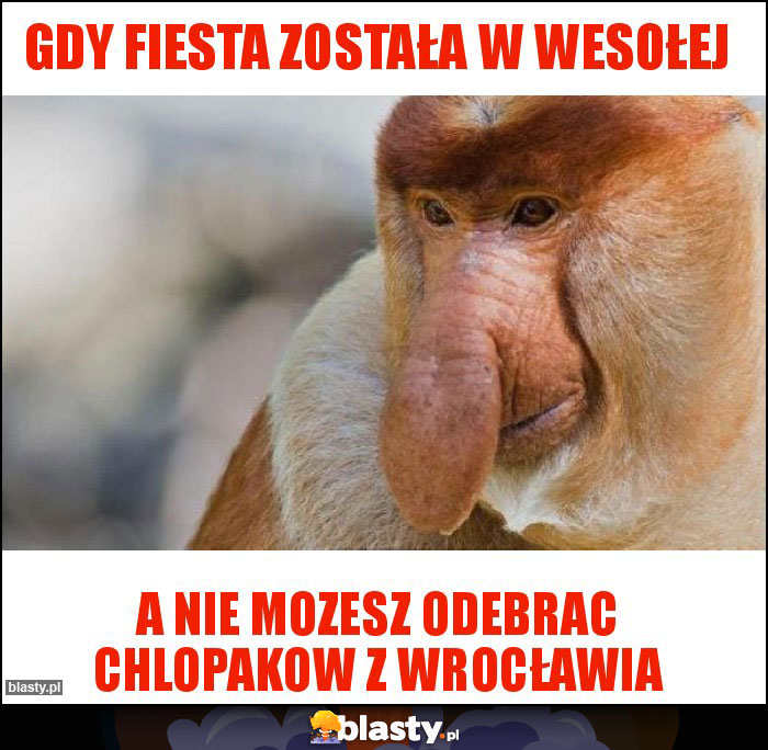 Gdy fiesta została w Wesołej Gdy fiesta została w Wesołej