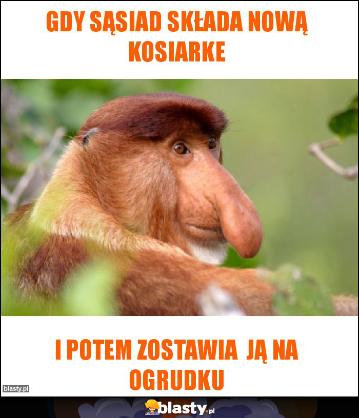 gdy sąsiad składa nową kosiarke gdy sąsiad składa nową kosiarke