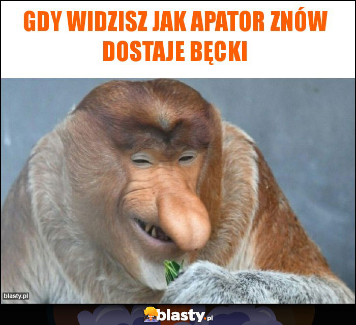 Gdy widzisz jak Apator znów dostaje bęcki Gdy widzisz jak Apator znów dostaje bęcki