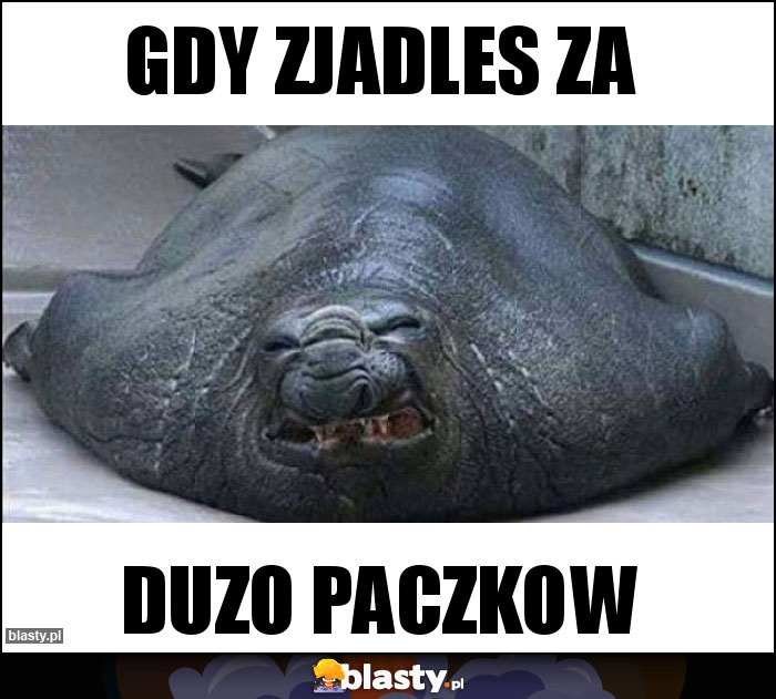 GDY ZJADLES ZA GDY ZJADLES ZA