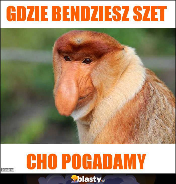GDZIE BENDZIESZ SZET GDZIE BENDZIESZ SZET