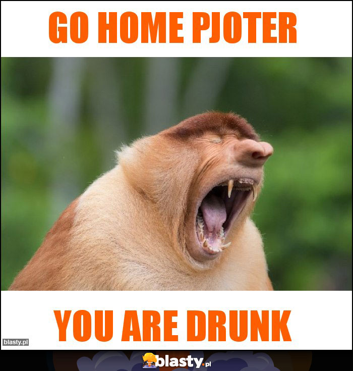 go home pjoter go home pjoter