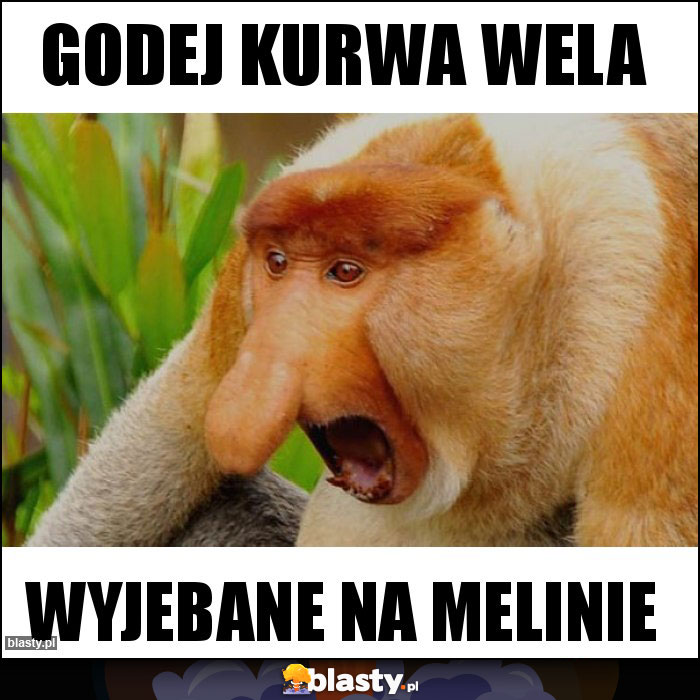 Godej kurwa wela Godej kurwa wela