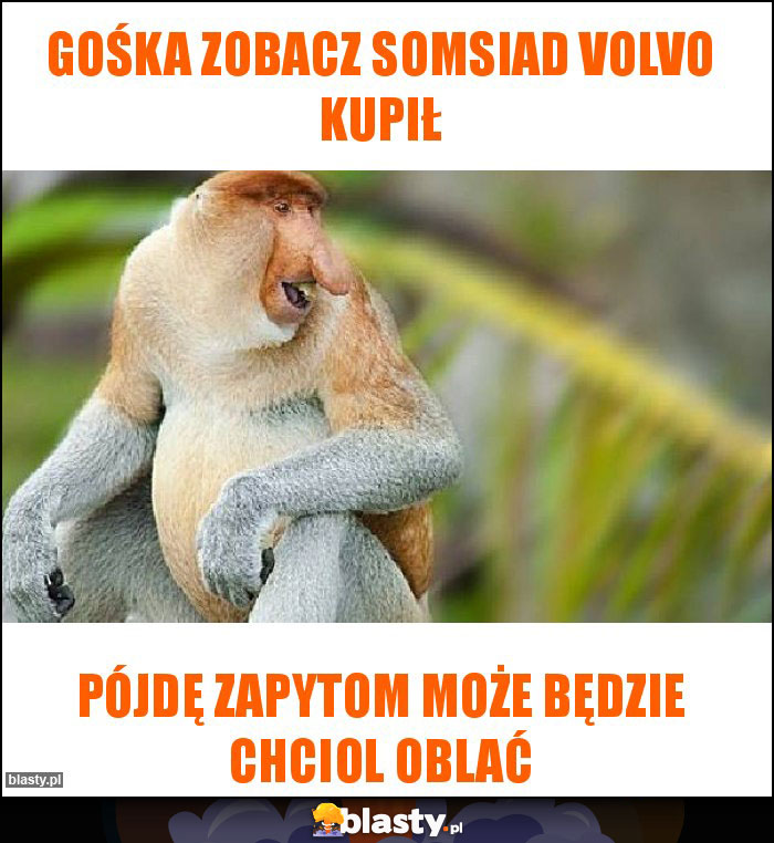 Gośka zobacz somsiad Volvo kupił Gośka zobacz somsiad Volvo kupił