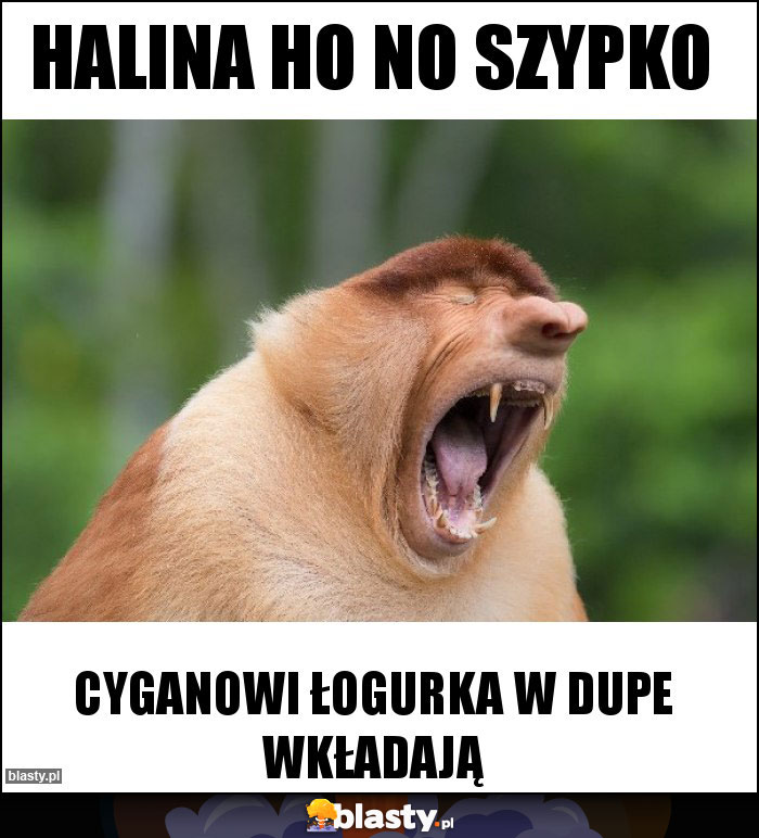 Halina ho no szypko Halina ho no szypko