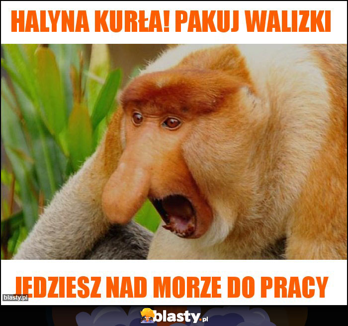 Halyna kurła! pakuj walizki Halyna kurła! pakuj walizki